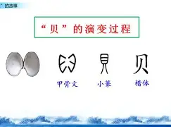 贝林厄姆末曾一心留队细节曝光的简单介绍|博雅棋牌平台